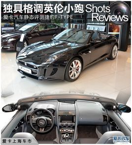 Y(ji)(gu)Чpӯ ۿ(sh)ĽݱF-TYPE