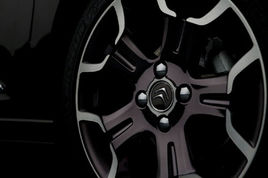 ѩFDS3DƬͼm˸܇չع