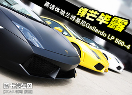 ِ���w��m������Gallardo LP 560-4