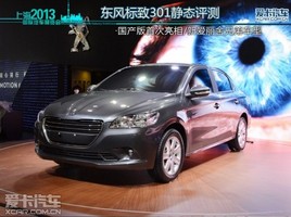�����泵������ ���������������301