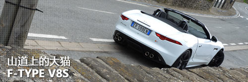 山上的大猫 F-TYPE V8S